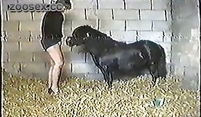 Ruiva novinha sexy dando a xoxota greluda - pónei,sexo de cachorro
