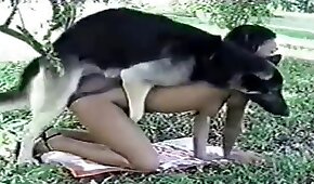 sexo de cachorro,fodendo com animais