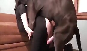 Ruiva novinha sexy dando a xoxota greluda - sexo de cachorro,sexo foda animal